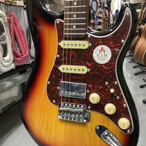 BST-2 RSM/R TTPG 3TS